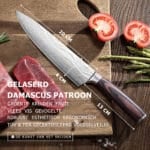 Professioneel Japans Koksmes met Damascus patron