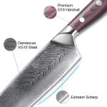 P1 Koksmes - Plume Luxe (20 cm / VG10)