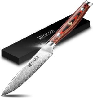 P6 Officemes - Plume Luxe (12,5 cm / VG10)